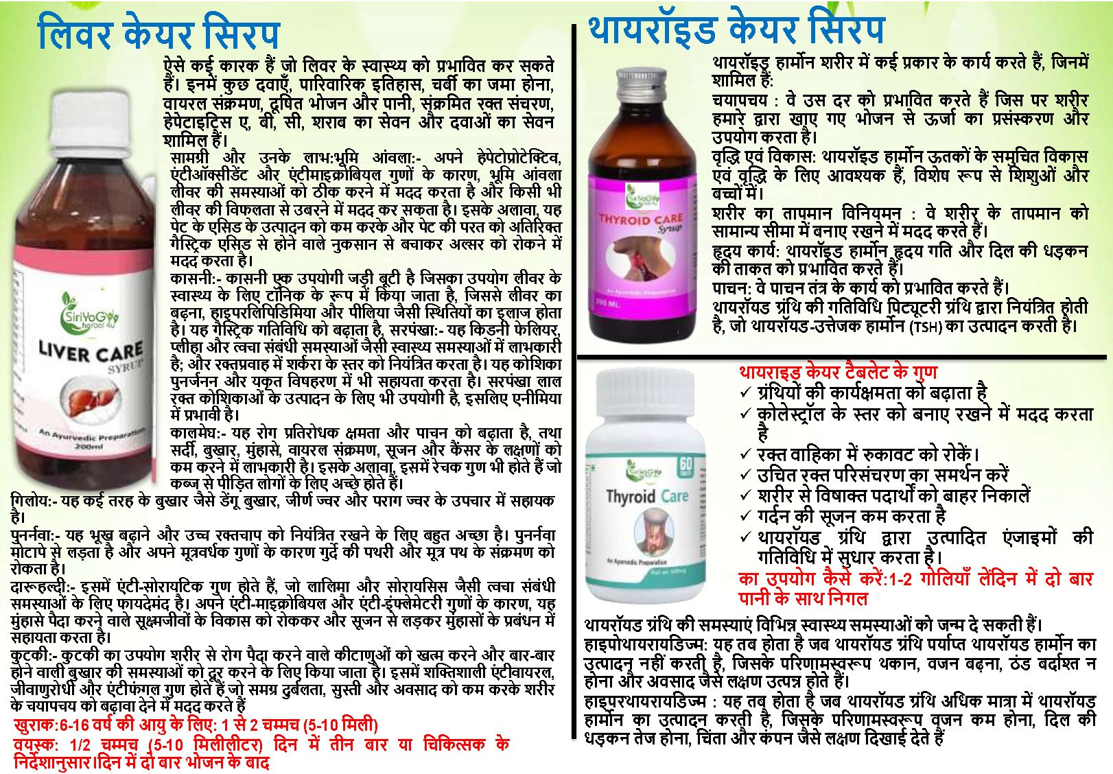 SIRIYOG4U BUSINESS PLAN