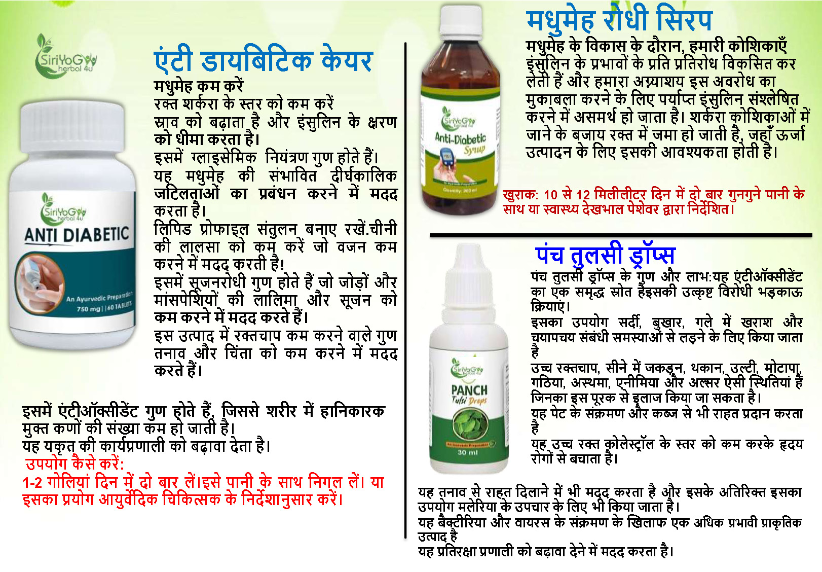 SIRIYOG4U BUSINESS PLAN
