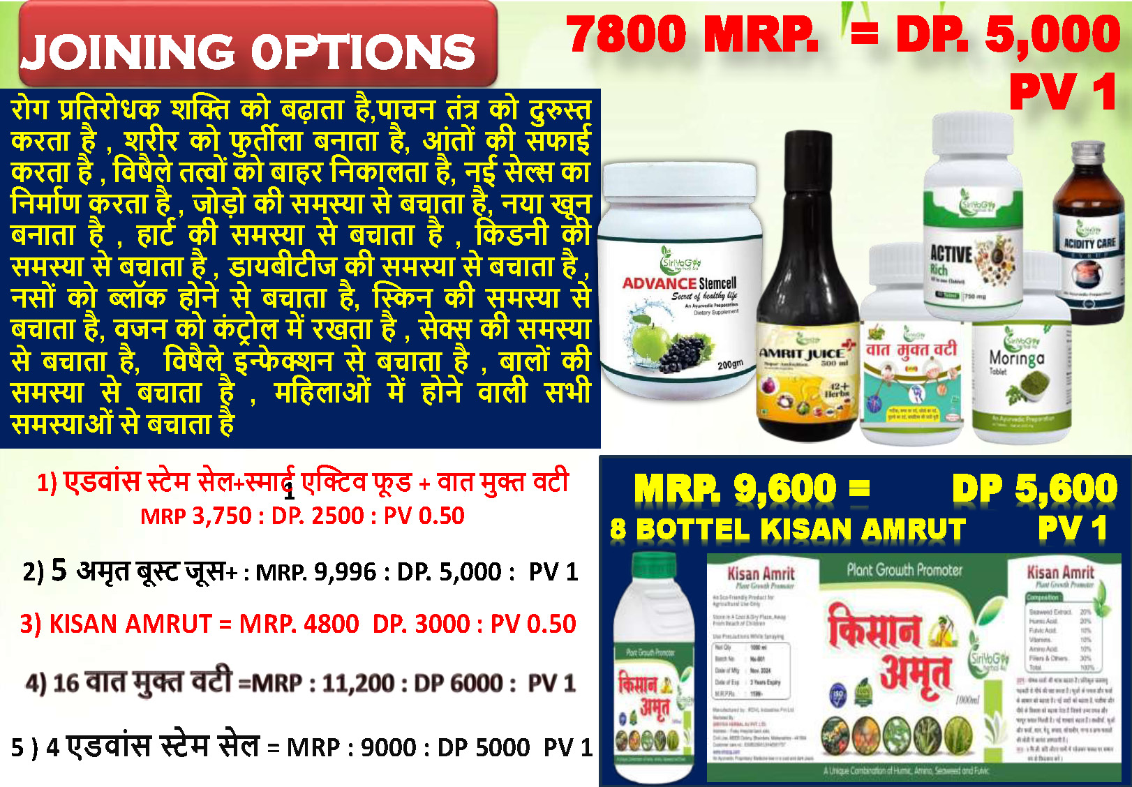SIRIYOG4U BUSINESS PLAN